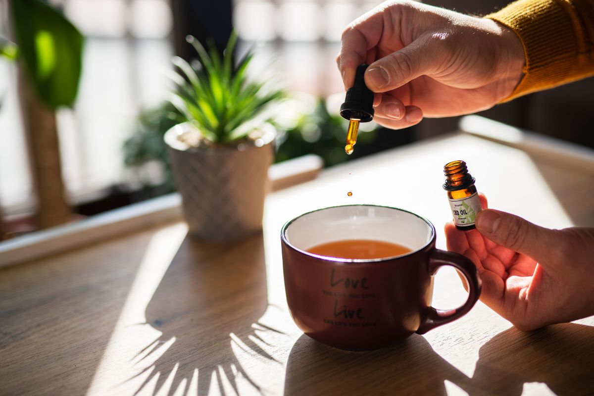 Elevate Your Wellness with Nature’s Delightful Solutions: Medterra’s CBD Products