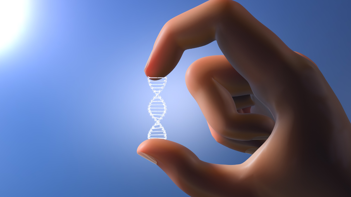 Discover Your Roots with MyHeritage