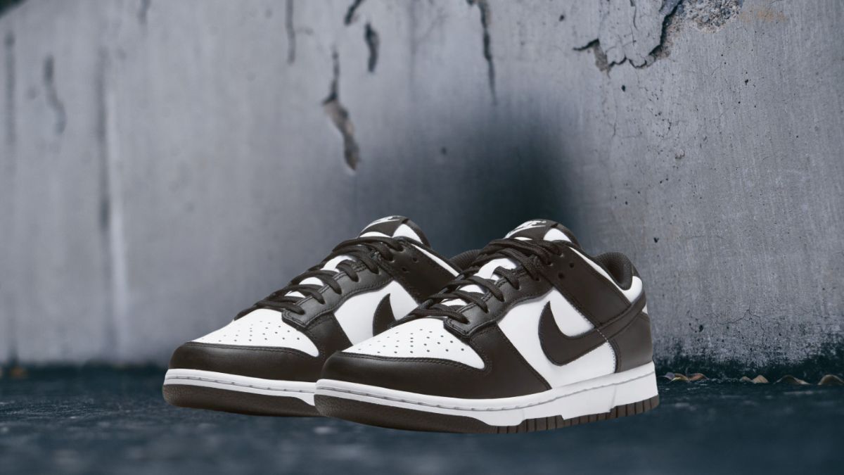 Why the Nike Dunk Low Basketball Sneaker is a Must-Have for Sneaker Lovers