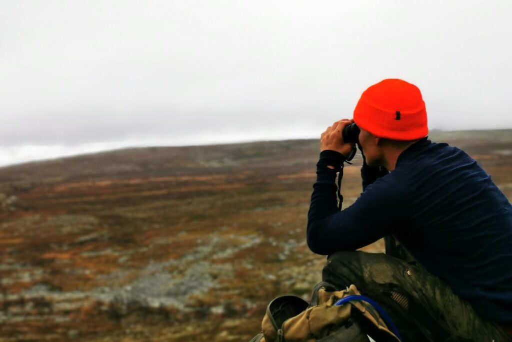 Best Rifles at Guns.com: A Buyer's Guide & Top 5 Models