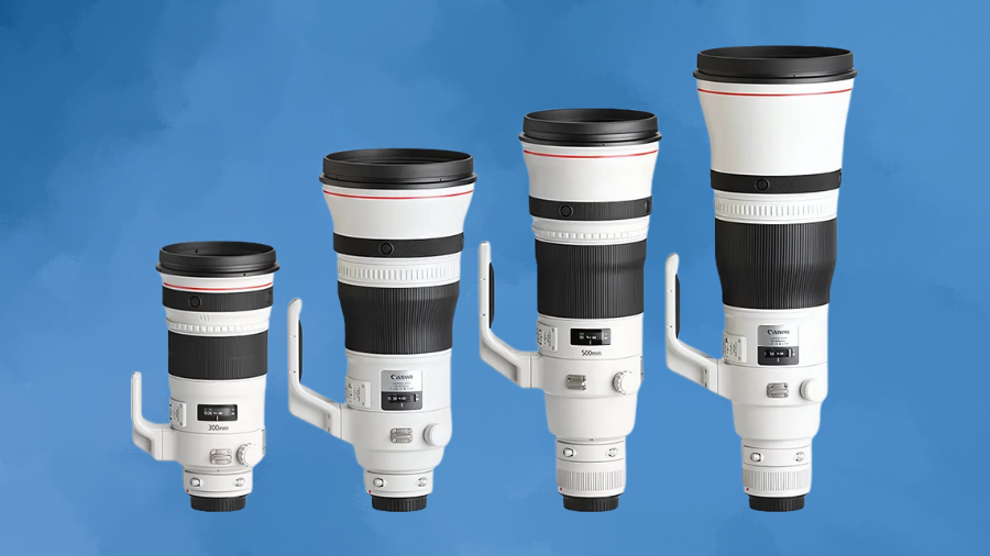 Canon EF 400mm f/2.8L IS III USM Review: A Professional’s Ultimate Super-Telephoto Lens