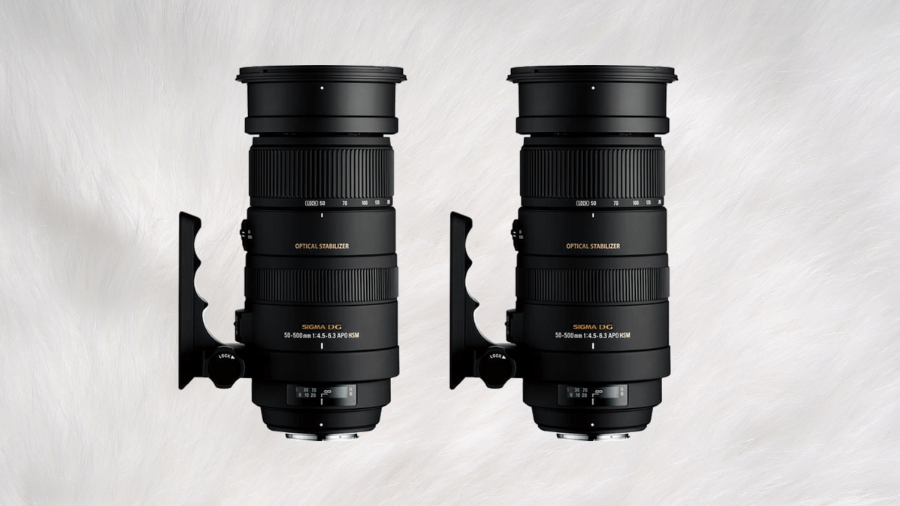 Sigma 50-500mm f/4.5-6.3 APO Review 2024: A Real-World Performance Analysis