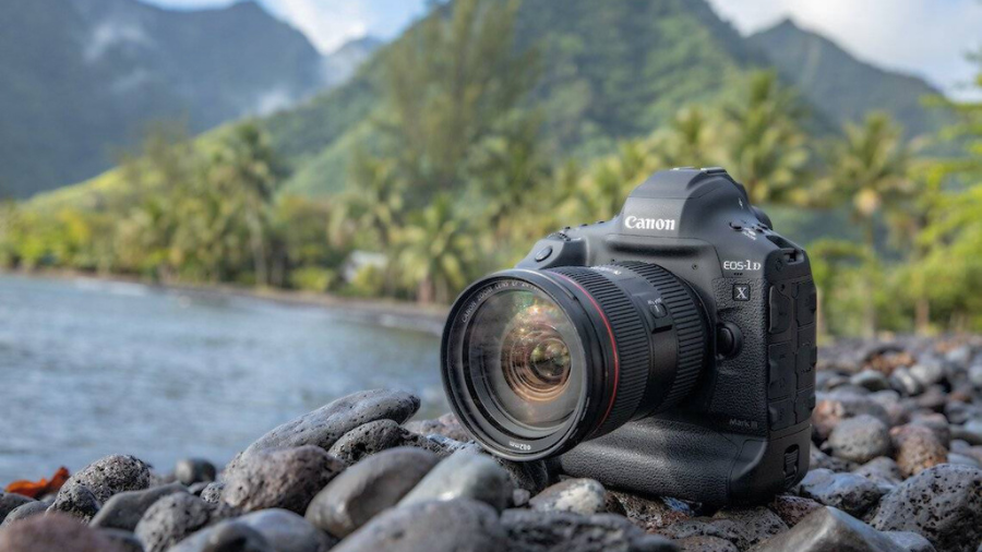 Canon EOS-1D X: A Professional Powerhouse in 2024