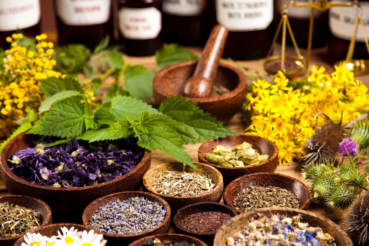 The Rise of Herbal Living: Why Swanson Herbs Are Dominating the Wellness Space