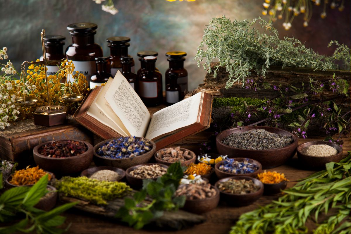 Nature’s Medicine Cabinet: Exploring the 5 Best Herbs from Swanson in 2025