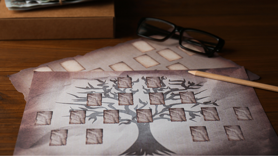 Explore Your Past with Ancestry