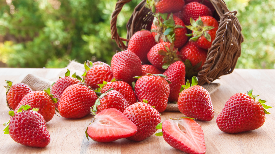 Driscoll’s Strawberries (16 oz) – Stop and Shop: Premium Berries Worth Every Bite