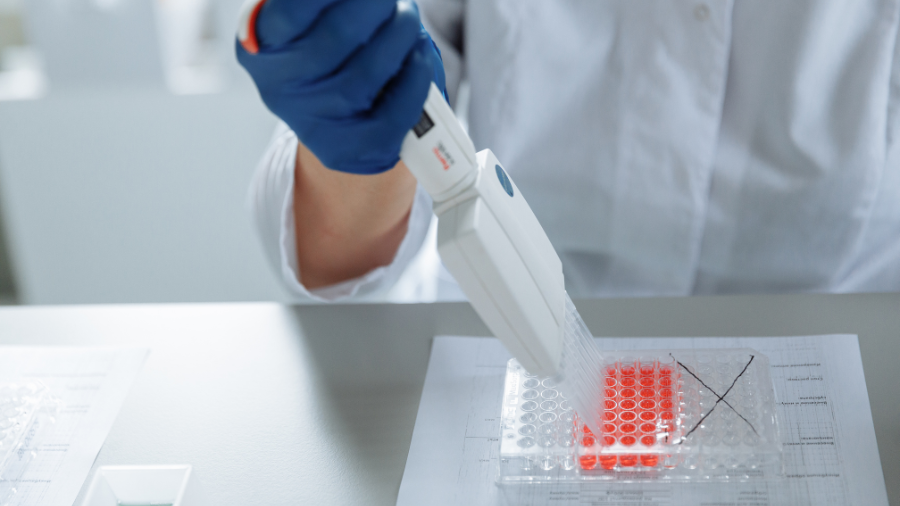 How DNA Connects Us to the Past