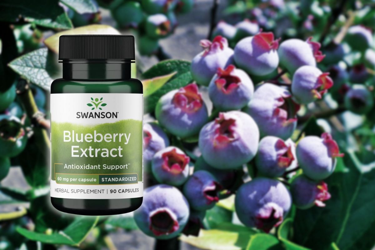 Swanson Bilberry Extract: Potency Options and Eye Health Benefits Explained