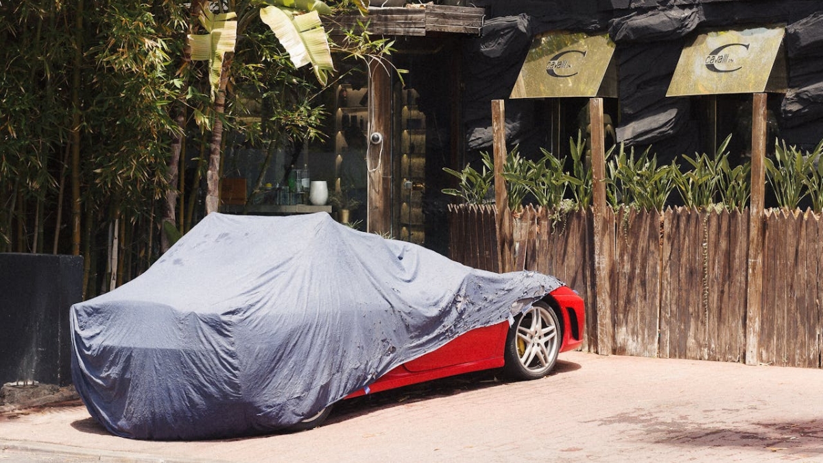 How to Become a Dealer of Seal Skin Covers