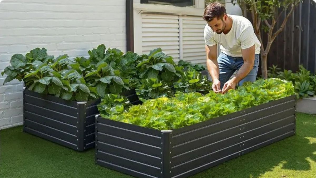 Why the VEVOR Metal Raised Garden Bed Makes Backyard Growing Easier