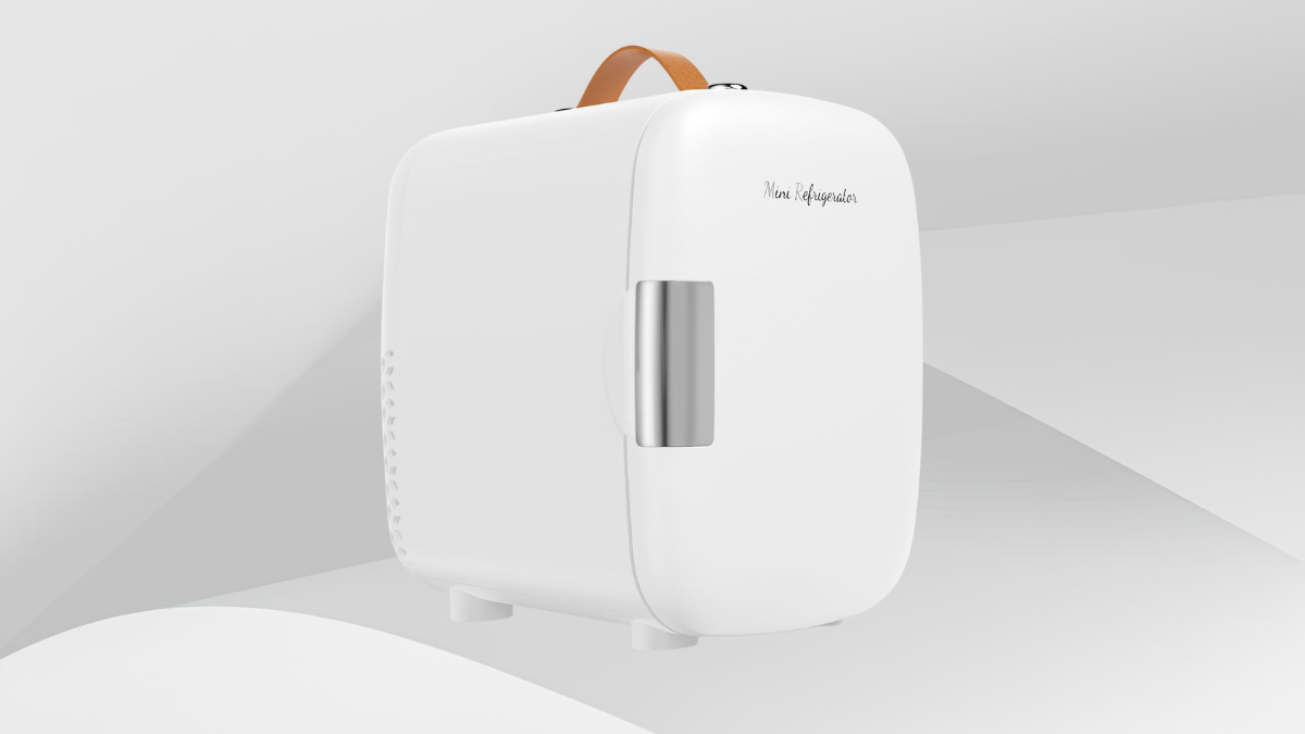 NEWBULIG 4L Mini Fridge Review